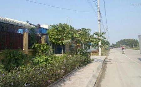 Chuyển nhượng 3ha đất công nghiệp tại Phú Xuyên, Hà Nội. Có nhà xưởng 5000m2
