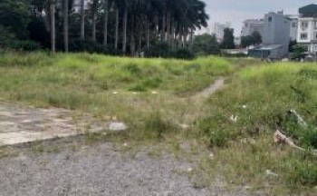 Bán 1.3ha đất công nghiệp trả tiền 1 lần tại thị trấn Lai Cách, Cẩm Giàng, Hải Dương