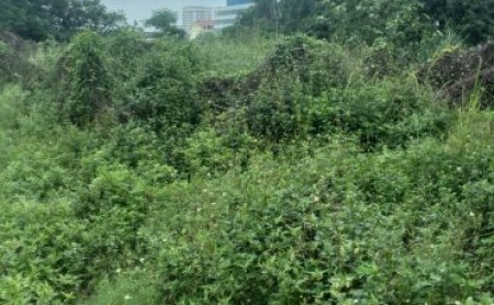 Cho thuê sân bãi mặt phố Phúc Lợi, Long Biên, HN. Dt 1700m2 mt 10m
